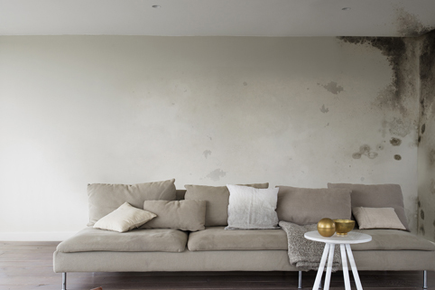 Những tác hại do thấm tường gây ra